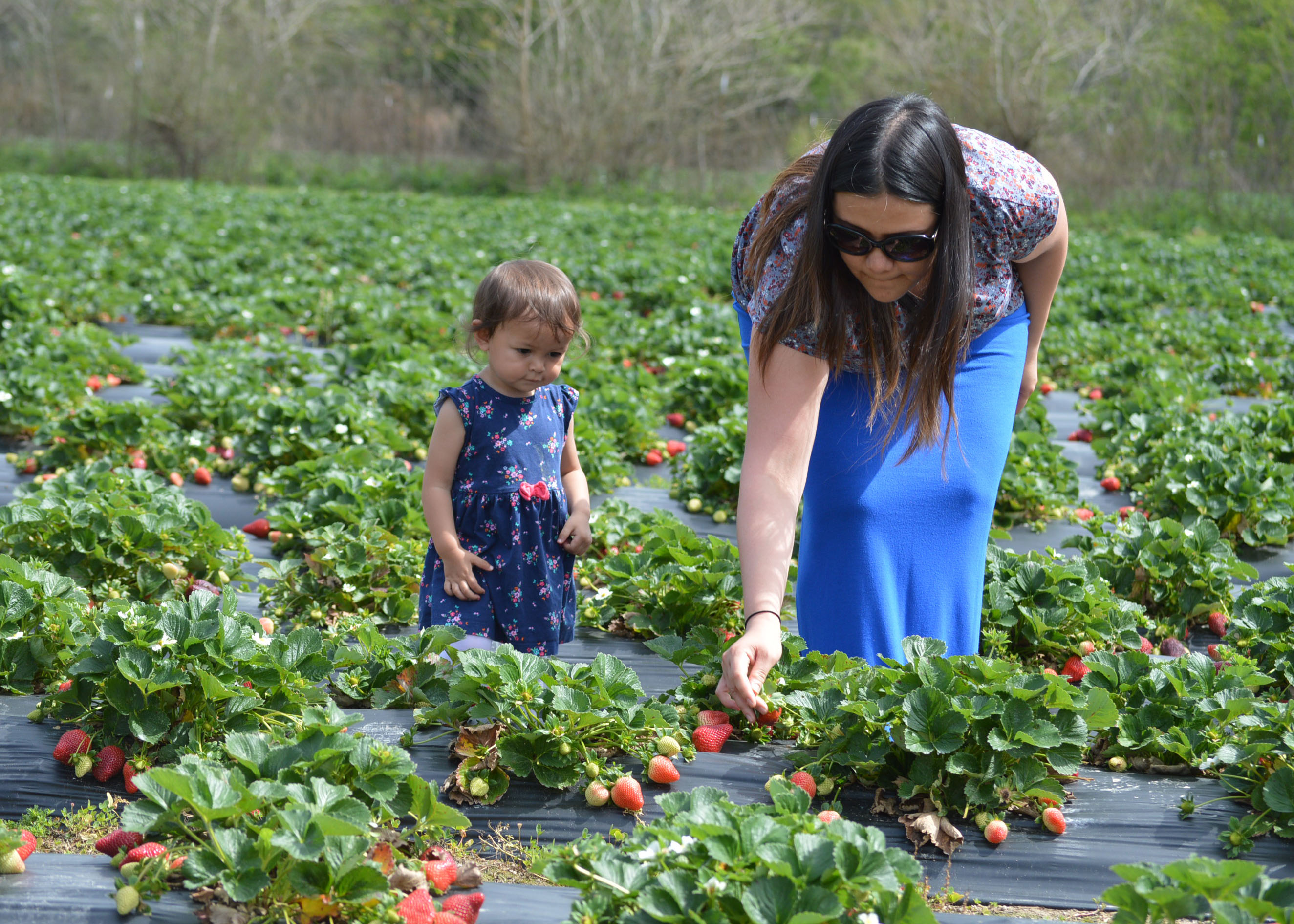 Agritourism is fun and games — and hard work — for Mrs. Heather